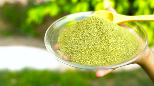 Hand holding a clear plate of green herbal moringa powder with a wooden spoon food health supplement organic ingredient food health supplement organic ingredient