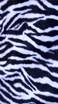 Close up of a black and white zebra print fabric texture with soft fur animal pattern striped design wildlife animal pattern striped design wildlife