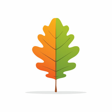 Oak Leaf with Half Green and Half Orange Colors