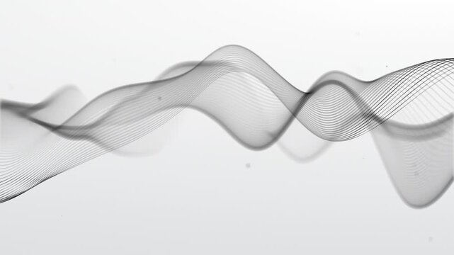 Black wave on a white background. Abstract wave motion of a black liquid form on a light background. Graphic transparent wave of black lines on a white screen. Looping 4K video