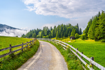 Fototapeta premium A winding road cuts through green fields and tall trees under a blue sky. A wooden fence runs alongside the path. The scene shows a quiet day in the Alps with distant mountains.