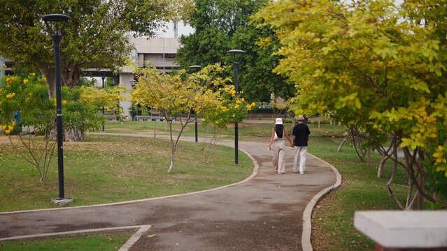 Couple holding hands walking together on a winding park path