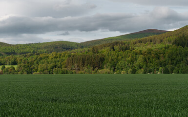 Rolling forested hills and a vast green field characterize the natural beauty of Craigellachie, Moray, Scotland under a cloudy sky © JASPERIMAGE