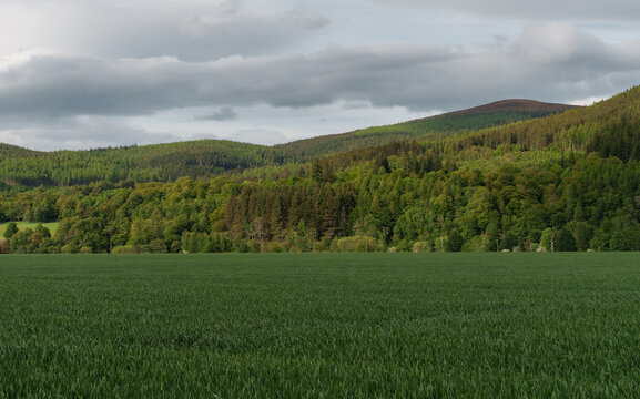 Rolling forested hills and a vast green field characterize the natural beauty of Craigellachie, Moray, Scotland under a cloudy sky