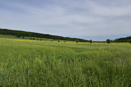 Felder und Wald bei Einbeck im Landkreis Northeim