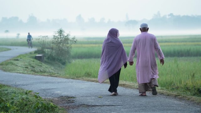 Bogura, Bangladesh - 16 May 2026: View of an elderly man and woman walking on a misty rural road through green fields, with the man pointing towards the horizon.
