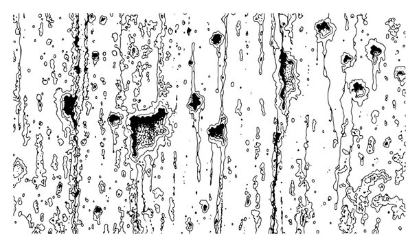 Tree bark texture with organic distressed wood grain patterns in detailed line art style