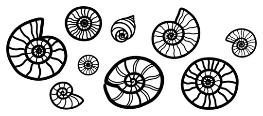 Ammonite fossils and spiral seashells collection in black line art style © Tomas