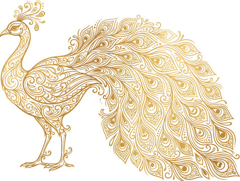 Elegant Golden Peacock Vector Illustration with Intricate Patterns