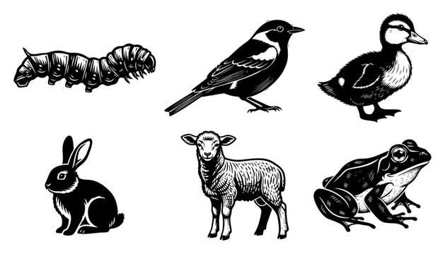 Cute animals set featuring rabbit sheep bird duck frog and caterpillar in vintage woodcut style