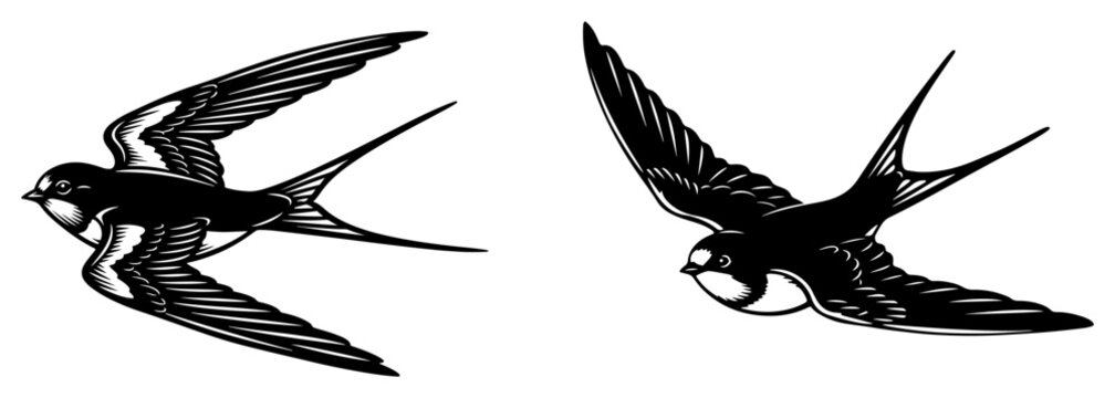 Flying swallow birds with spread wings in detailed monochrome woodcut style