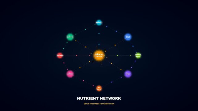 Exploring the scientific process of lab grown meat through a dynamic animated nutrient network visualization showing essential growth factors and serum free media components for production.