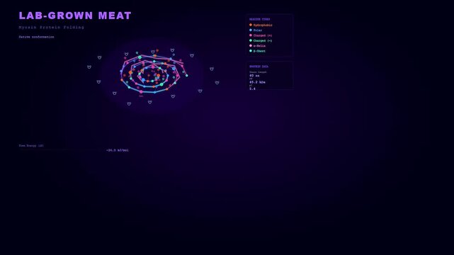 A digital simulation displays the production of lab grown meat by illustrating how myosin protein molecules fold through various stages into a dense structure.