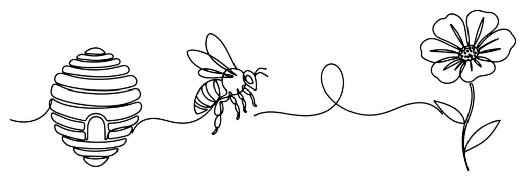 Bee flying between beehive and flower in continuous single line art style