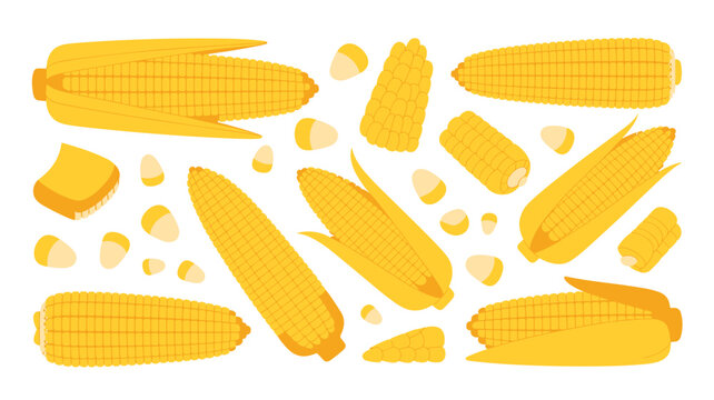 A variety of fresh yellow corn cobs and scattered loose kernels are displayed in an organized pattern against a clean and solid light yellow background surface.