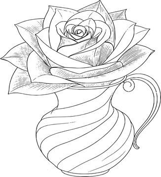 Minimalist Rose Flower in Spiral Ceramic Pitcher Vase Line Art Vector