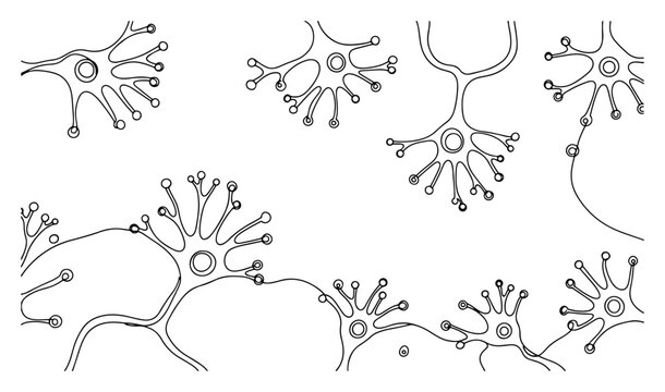 Nerve cells and neurons connected in abstract pattern in minimalist line art style