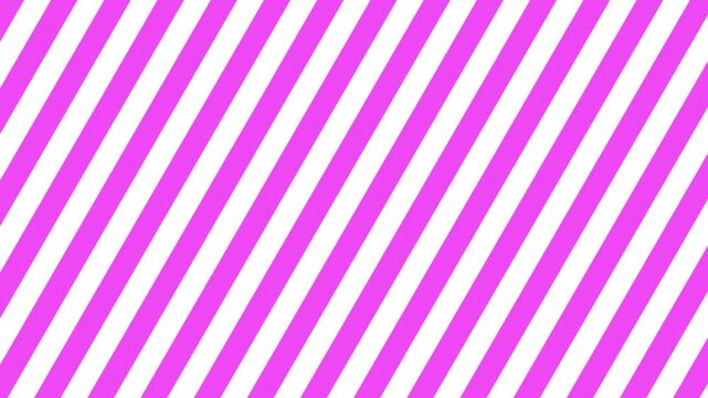 MUストライプ0005