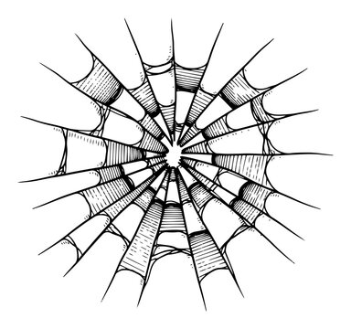 Circular spider web cobweb pattern with radiating lines in minimalist hand drawn style