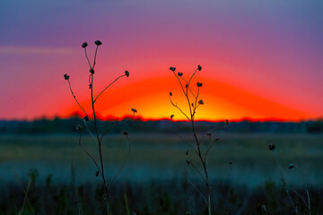 Fototapeta premium Forneys Lake Sunset Iowa Wildlife Area