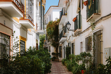 Narrow street with traditional white buildings featuring wrought iron balconies and green plants, creating a picturesque ambiance in Marbella, Andalucia, Spain © jmiguel