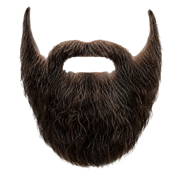 Fake Beard Costume