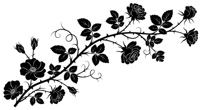 Black Silhouette Rose Vine with Thorns and Buds