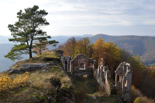 Ruins of Neuscharfeneck Castle in autumn, Pf&auml;lzerwald, Ramberg, Rhineland-Palatinate, Germany