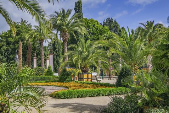Palm garden with flower borders in the historic spa gardens, Bad Pyrmont, Weserbergland, Lower Saxony, Germany