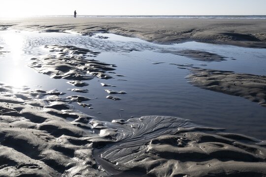 Walkers on the beach at low tide with tide pools, Juist Island, Lower Saxony Wadden Sea, North Sea, East Frisia, Lower Saxony, Germany