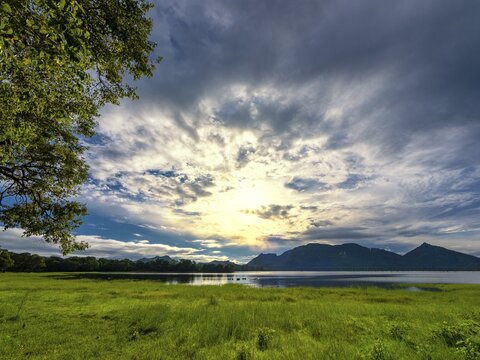 Sunrise and sunbeams between the clouds, green meadow at the lake, Kandalama Lake, Dambulla, Sri Lanka