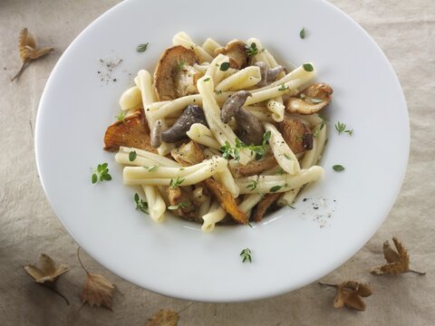 Wild  chanterelle or girolle (Cantharellus cibarius), Pied de Mouton Mushrooms (hydnum repandum) or Pied Bleu of blue foot mushrooms (Clitocybe nuda) with Casarecce Pasta