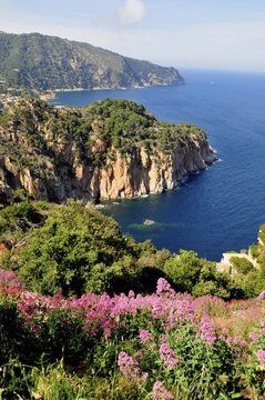 Wild coastal scenery with views of the Cap de Begur, near Begur, Costa Brava, Spain, Iberian Peninsula, Europe