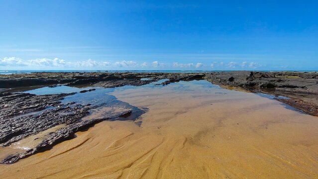 Os corais durante a mar&eacute; baixa, na praia de pitinga, em Trancoso, Porto Seguro, litoral sul da Bahia.