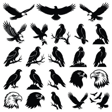 Collection of various eagle silhouettes flying.