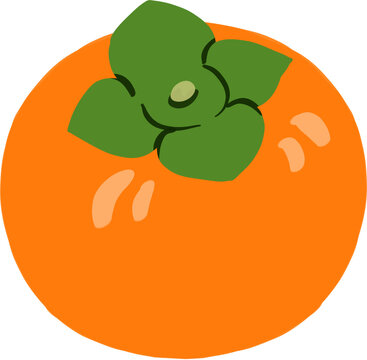 감,sweet persimmon