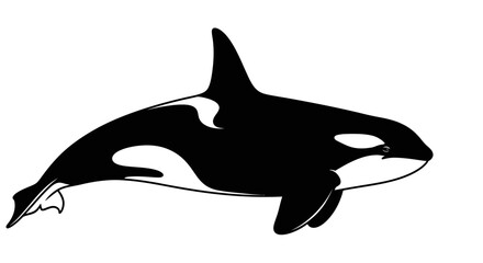 Black and White Orca Killer Whale Silhouette © Laris