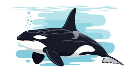 Cartoon Illustration of a Swimming Orca Whale © Laris