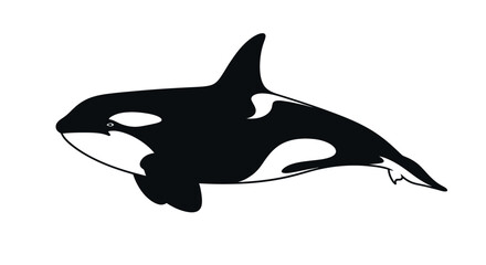 Orca Whale Silhouette Vector Illustration © Laris