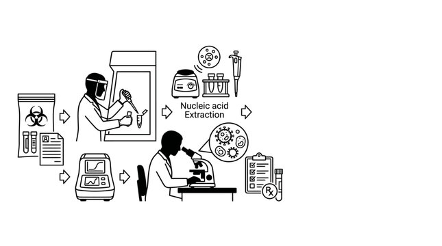 Laboratory workflow infographic illustrating nucleic acid extraction and virus testing process.