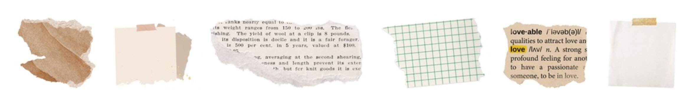 A collection of torn paper textures and text snippets on a white background.