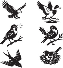Obraz premium Black and white bird illustrations in flight, perching, and nesting on white background