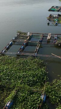 Vertical screen Aerial Scattered Aquaculture Cages Hoi An, Quiet Water Surface With Small Boats, Patches Of Hyacinth And Netted Pens, Slow Rural Rhythm And Coastal Livelihood