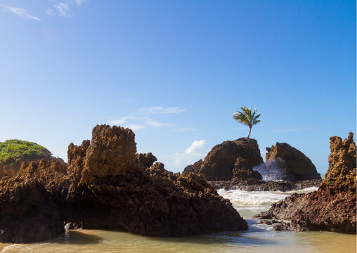 Praia de Tambaba, Para&iacute;ba, Brasil