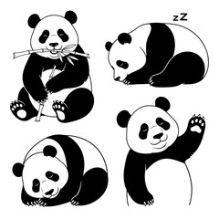 Cute Panda Bear Illustrations: Eating Bamboo, Sleeping and Waving © hidayati
