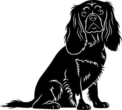 Cavalier king charles spaniel silhouette sitting