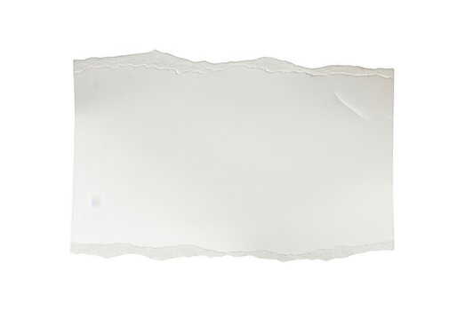 Single piece of torn white paper with rough deckle edges isolated on transparent background