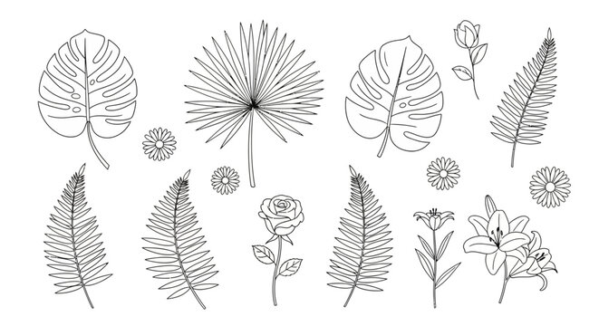 Set Ilustrasi Vektor Tanaman (137)_2x
