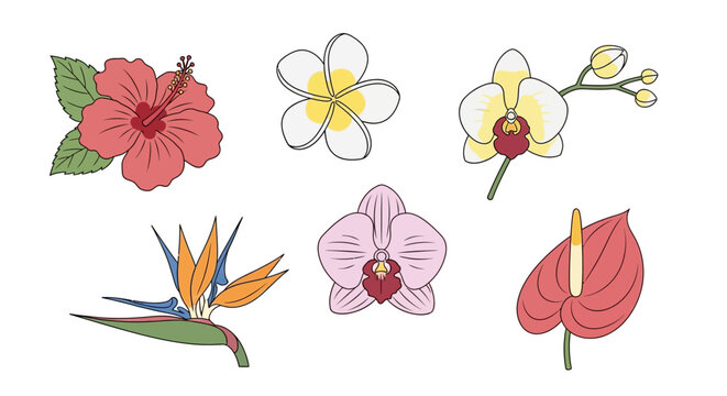 Set Ilustrasi Vektor Tanaman (141)_2x