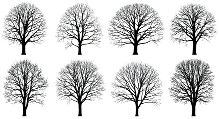 Bare Winter Trees Collection - Isolated Silhouettes on White Background © mus